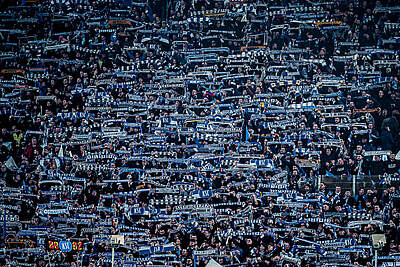 Die Fans des Karlsruher SC recken die verschiedenen Schals in die Luft.